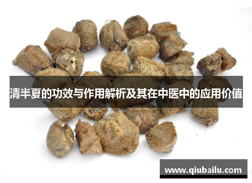 清半夏的功效与作用解析及其在中医中的应用价值